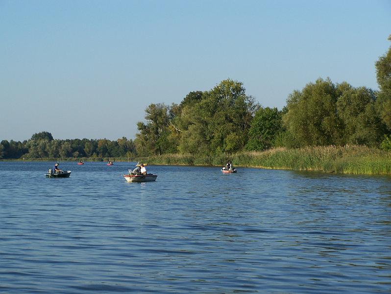 AV 06 29.jpg
